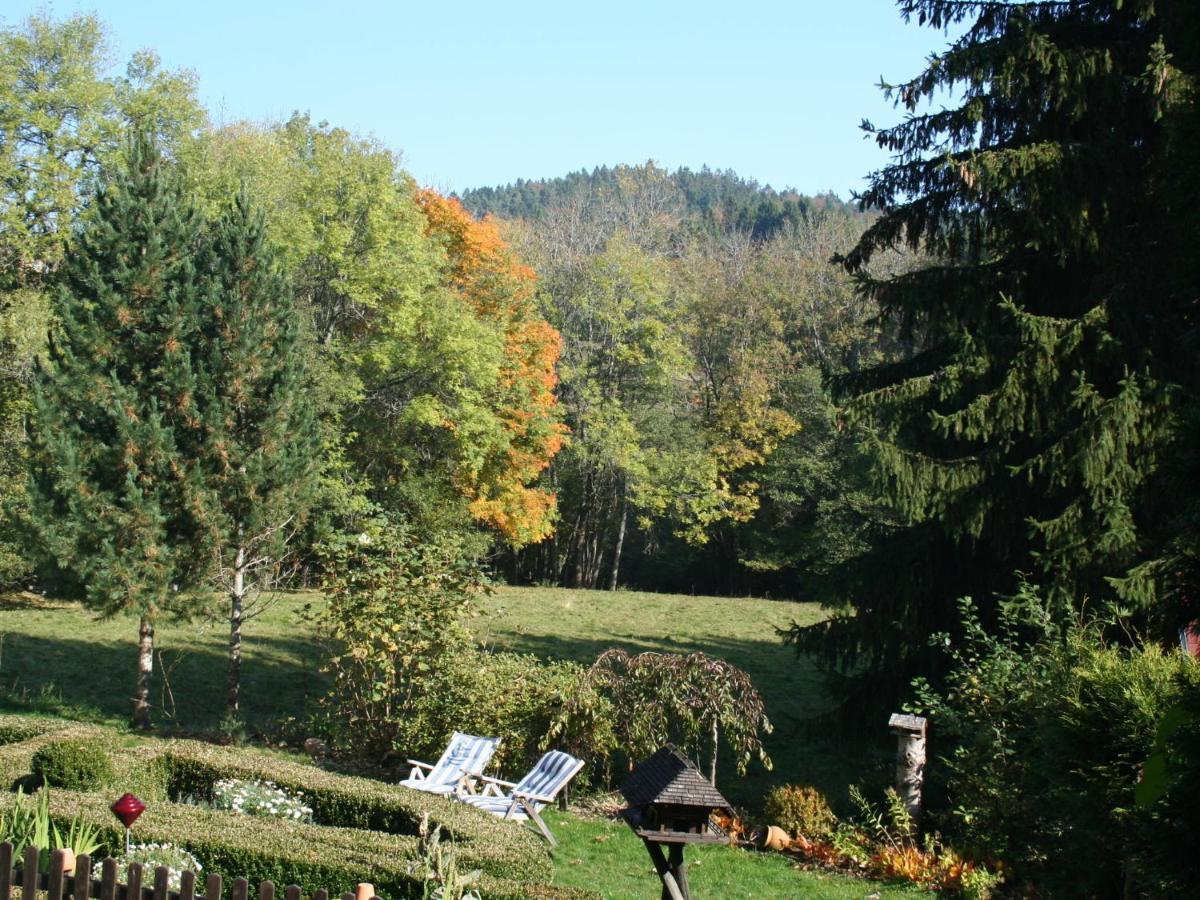 Cozy Holiday Apartment In The Black Forest Dachsberg im Schwarzwald エクステリア 写真