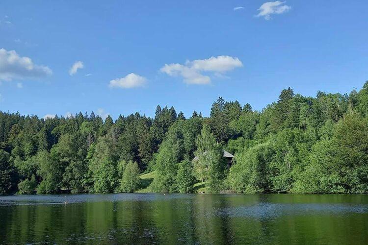 Cozy Holiday Apartment In The Black Forest Dachsberg im Schwarzwald エクステリア 写真