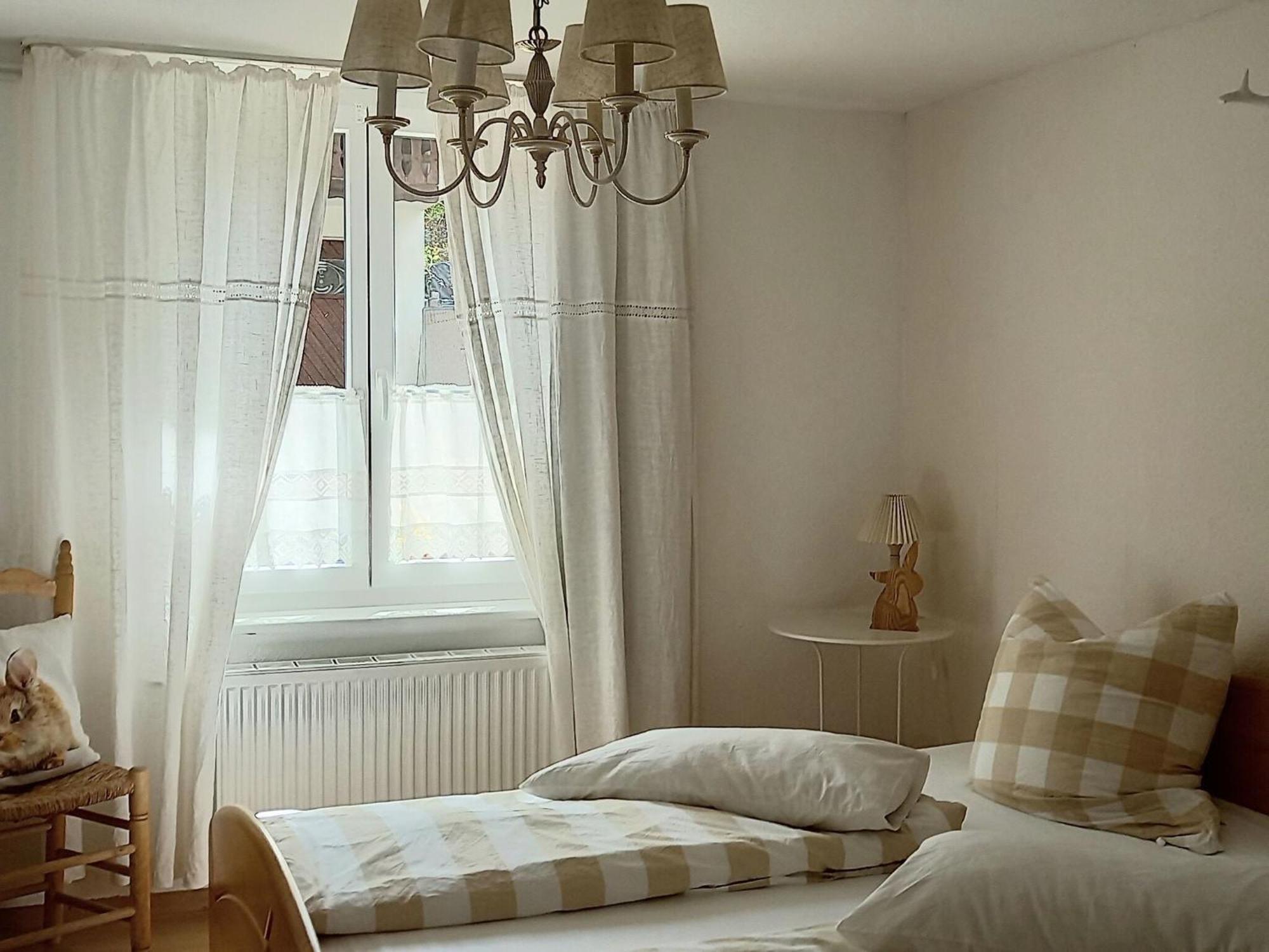 Cozy Holiday Apartment In The Black Forest Dachsberg im Schwarzwald エクステリア 写真