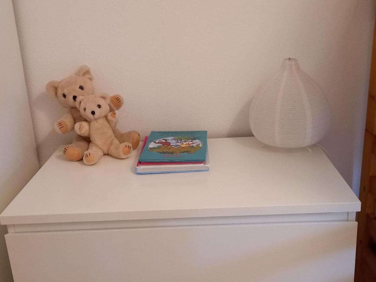 Cozy Holiday Apartment In The Black Forest Dachsberg im Schwarzwald エクステリア 写真